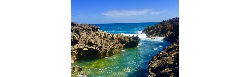 Caribbean 